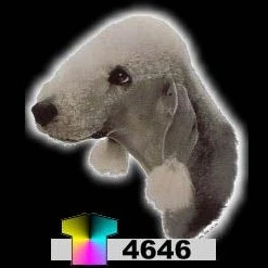 Tuotekuva 1