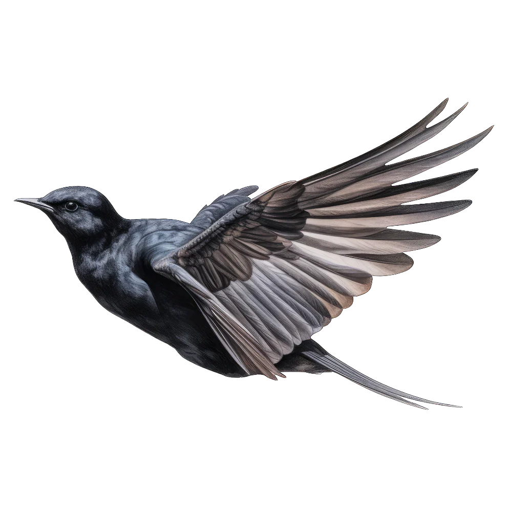 Tuotekuva 1