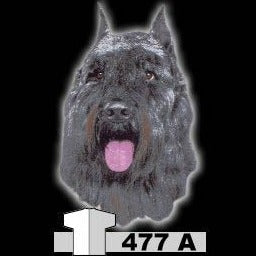 Tuotekuva 1