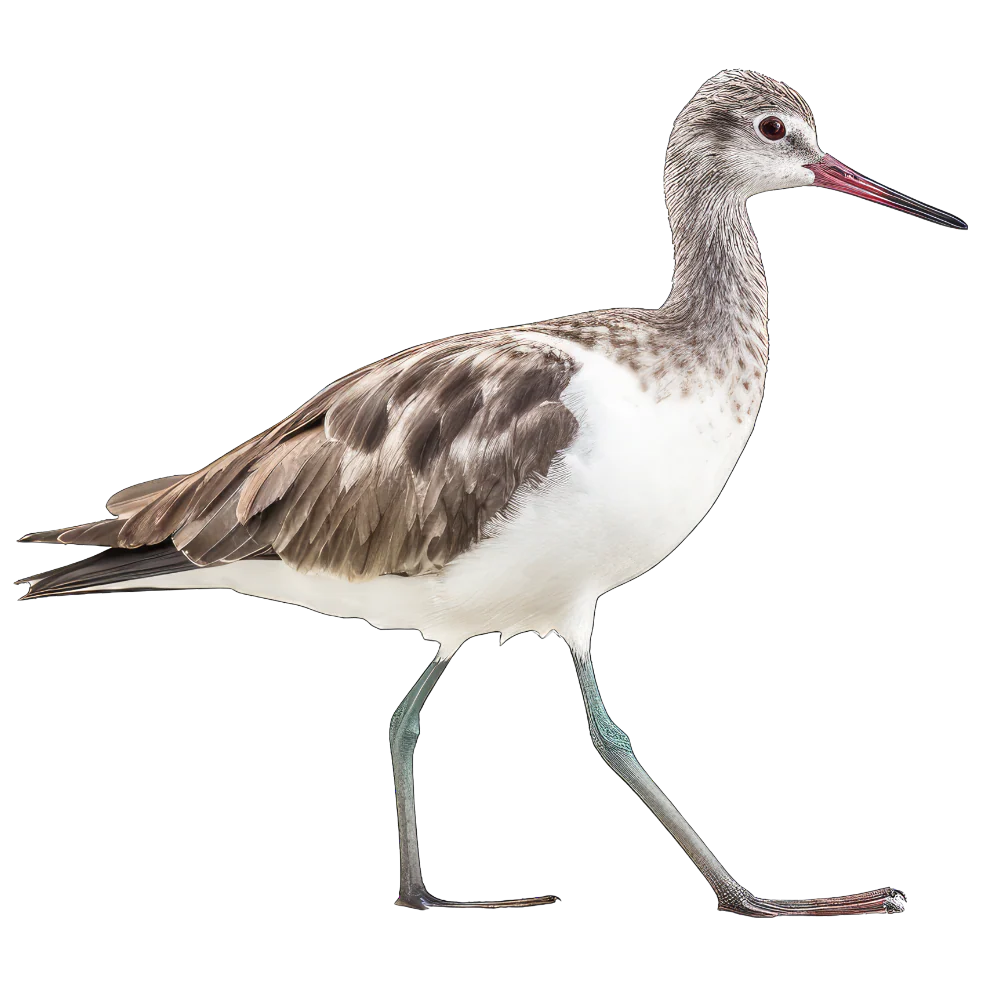 Tuotekuva 1
