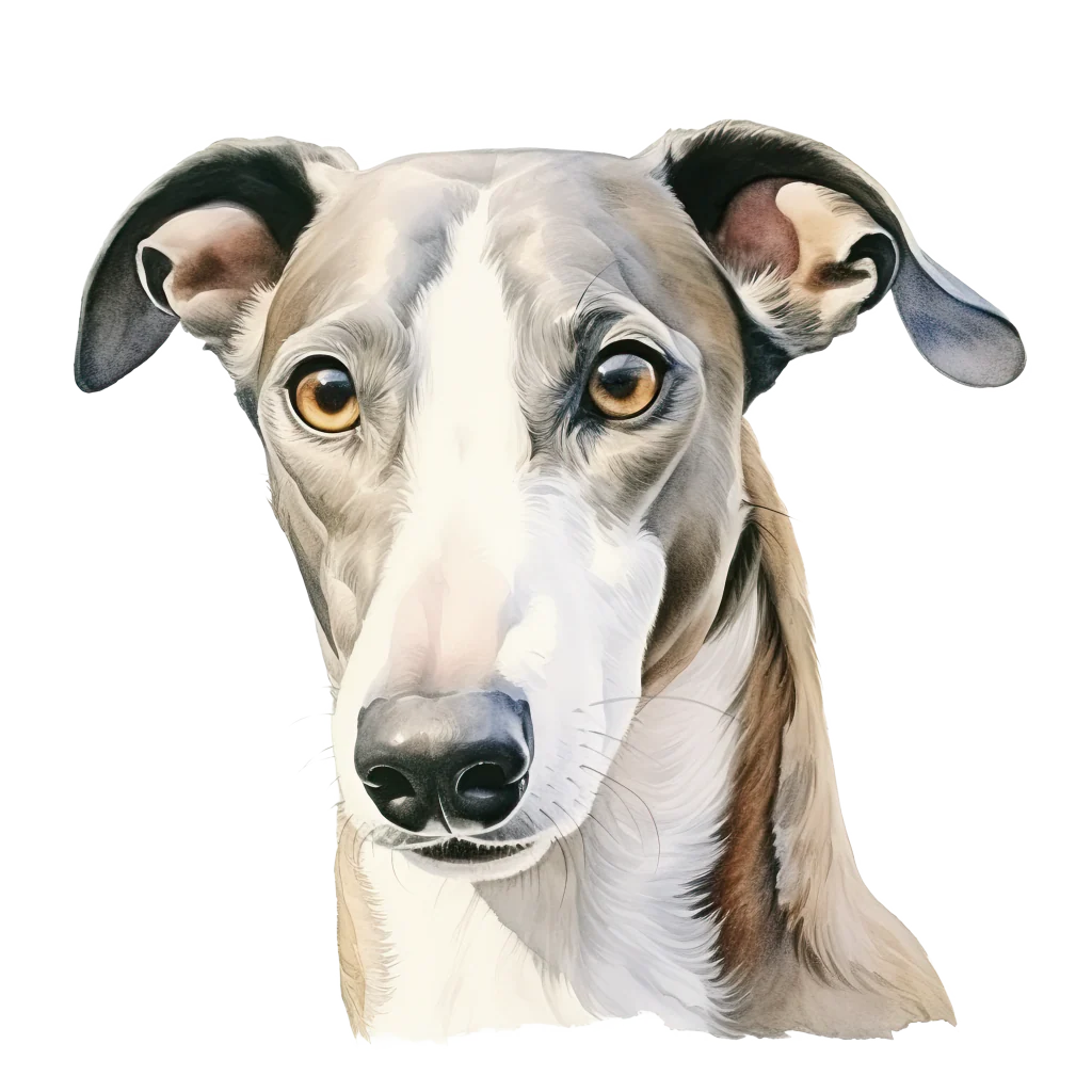 Tuotekuva 1
