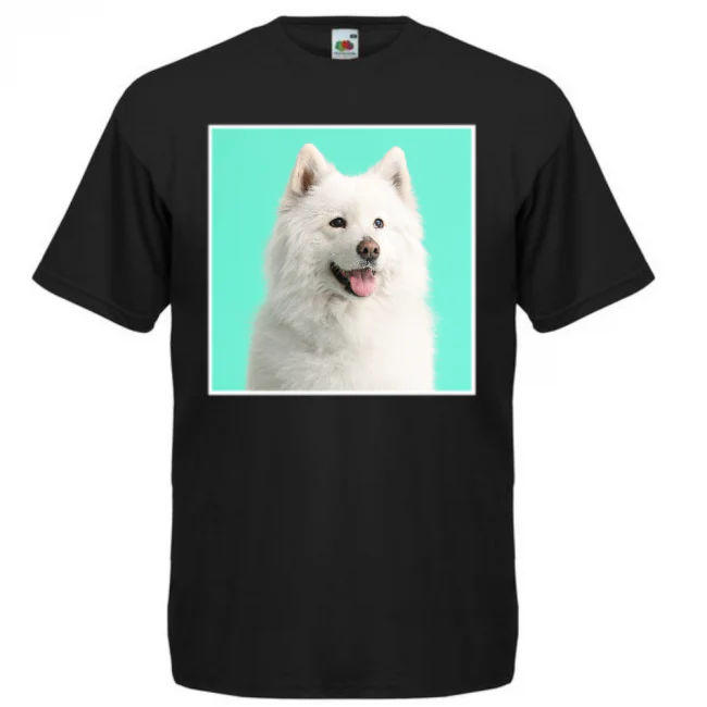 Tuotekuva 1
