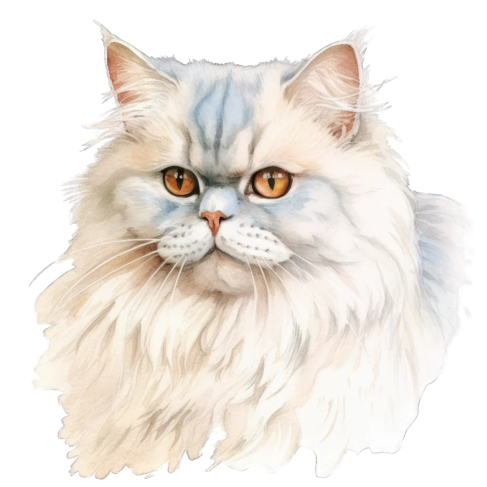 Tuotekuva 1