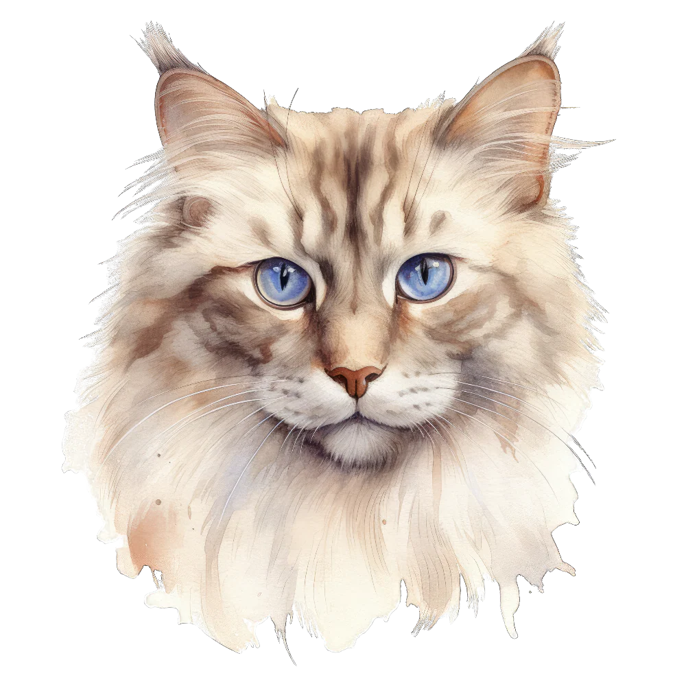 Tuotekuva 1