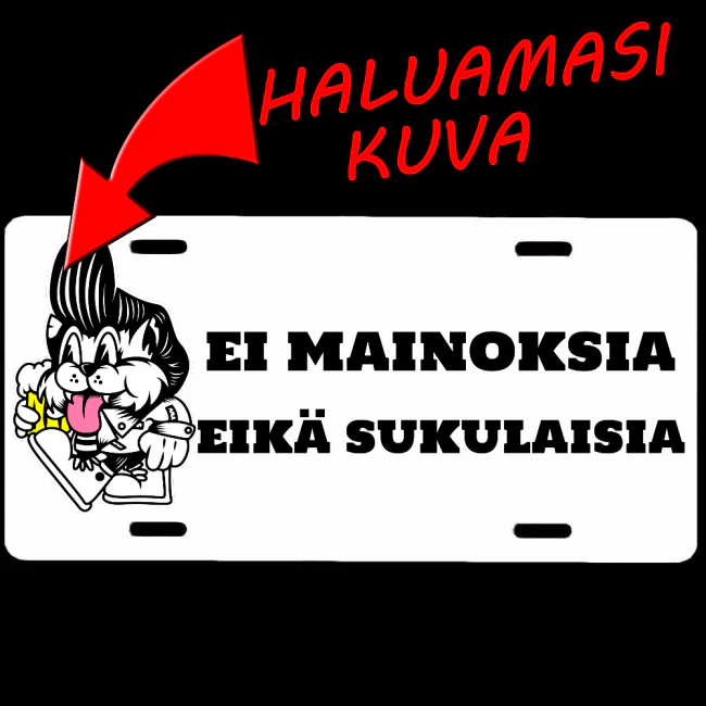 Tuotekuva 1