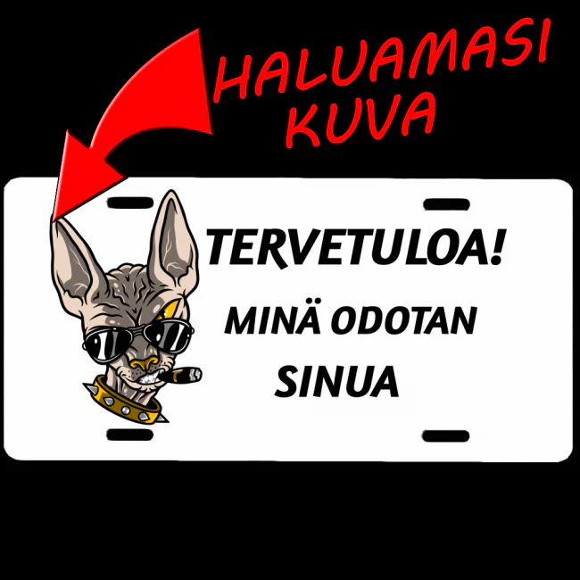 Tuotekuva 1