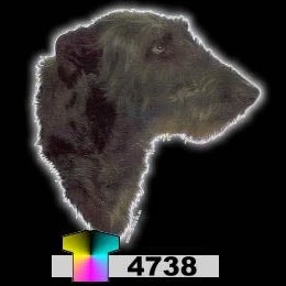 Tuotekuva 1