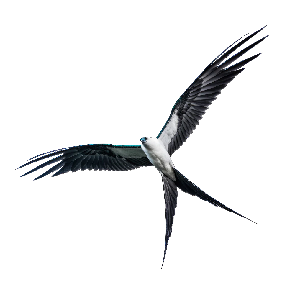 Tuotekuva 1