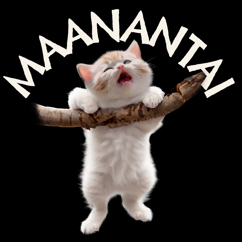 Pikkukuva 2