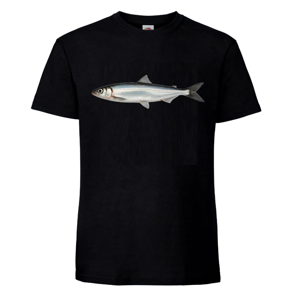 Tuotekuva 1